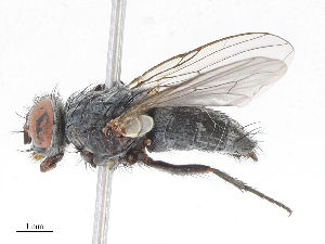  ( - CBG-A07072-G04)  @11 [ ] CreativeCommons - Attribution Share - Alike (2023) CBG Photography Group Centre for Biodiversity Genomics