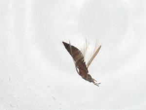  ( - CBG-A15046-C09)  @11 [ ] CreativeCommons - Attribution Share - Alike (2023) Centre for Biodiversity Genomics Centre for Biodiversity Genomics