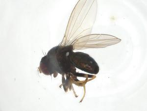  ( - CBG-A19875-H04)  @11 [ ] CreativeCommons - Attribution Share - Alike (2023) Centre for Biodiversity Genomics Centre for Biodiversity Genomics