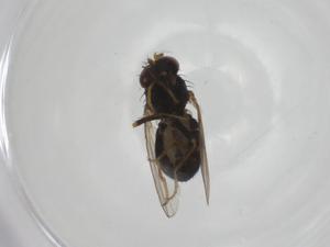  ( - CBG-A23022-D08)  @11 [ ] CreativeCommons - Attribution Share - Alike (2023) Centre for Biodiversity Genomics Centre for Biodiversity Genomics