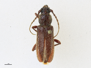  ( - CBG-A23278-B12)  @11 [ ] CreativeCommons - Attribution Share - Alike (2023) CBG Photography Group Centre for Biodiversity Genomics