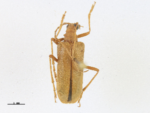  ( - CBG-A24264-A07)  @11 [ ] CreativeCommons - Attribution Share-Alike (2024) CBG Photography Group Centre for Biodiversity Genomics