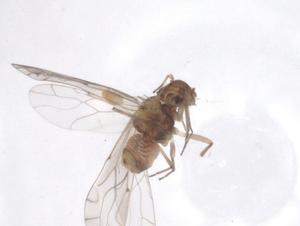  ( - CBG-A42844-H05)  @11 [ ] CreativeCommons - Attribution Share - Alike (2024) Centre for Biodiversity Genomics Centre for Biodiversity Genomics