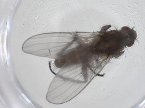  ( - CBG-A43952-F02)  @11 [ ] CreativeCommons - Attribution Share - Alike (2024) Centre for Biodiversity Genomics Centre for Biodiversity Genomics