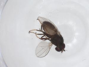  ( - CBG-A44842-F08)  @11 [ ] CreativeCommons - Attribution Share - Alike (2024) Centre for Biodiversity Genomics Centre for Biodiversity Genomics