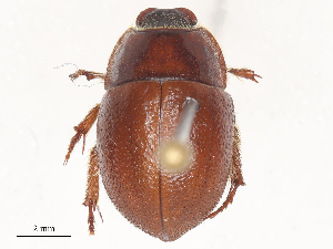  ( - CBG-A46905-D11)  @11 [ ] CreativeCommons - Attribution Share - Alike (2024) CBG Photography Group Centre for Biodiversity Genomics