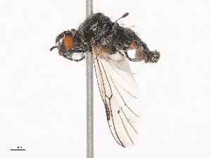  ( - CBG-A46909-E01)  @11 [ ] CreativeCommons - Attribution Share - Alike (2024) CBG Photography Group Centre for Biodiversity Genomics