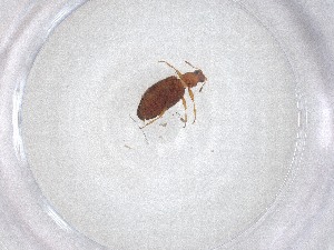  ( - CBG-A51662-A07)  @11 [ ] CreativeCommons - Attribution Share - Alike (2024) Centre for Biodiversity Genomics Centre for Biodiversity Genomics
