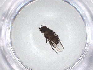 ( - CBG-A51663-D12)  @11 [ ] CreativeCommons - Attribution Share - Alike (2024) Centre for Biodiversity Genomics Centre for Biodiversity Genomics