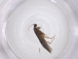  ( - CBG-A53448-A07)  @11 [ ] CreativeCommons - Attribution Share - Alike (2024) Centre for Biodiversity Genomics Centre for Biodiversity Genomics