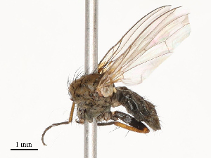  ( - CBG-A53663-H02)  @11 [ ] CreativeCommons - Attribution Share - Alike (2024) CBG Photography Group Centre for Biodiversity Genomics