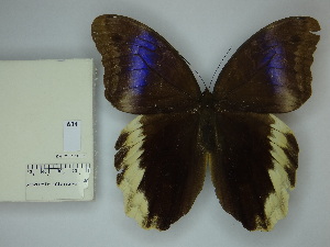  ( - OM_35.398)  @11 [ ] c (2025) Suianne Cajé UFPR