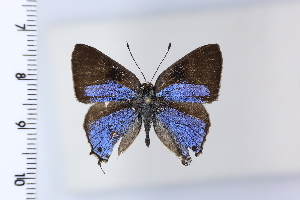  ( - DRD1920)  @11 [ ] c  Diego Dolibaina Universidade Federal do Parana