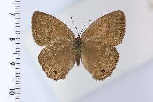  ( - DRD1932)  @11 [ ] c  Diego Dolibaina Universidade Federal do Parana