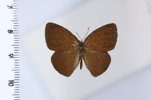  ( - DRD1933)  @11 [ ] c  Diego Dolibaina Universidade Federal do Parana