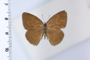  ( - DRD1934)  @11 [ ] c  Diego Dolibaina Universidade Federal do Parana