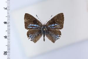  ( - DRD1952)  @11 [ ] c  Diego Dolibaina Universidade Federal do Parana