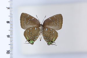  ( - DRD1961)  @11 [ ] c  Diego Dolibaina Universidade Federal do Parana