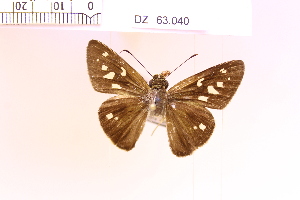  ( - DZ63.040)  @11 [ ] c (2025) Adalberto Dantas de Medeiros UFPR