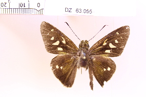  ( - DZ63.055)  @11 [ ] c (2025) Adalberto Dantas de Medeiros UFPR