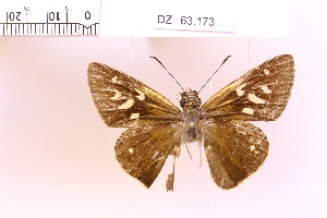  ( - DZ63.173)  @11 [ ] c (2025) Adalberto Dantas de Medeiros UFPR