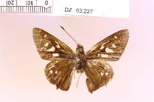  ( - DZ63.227)  @11 [ ] c (2025) Adalberto Dantas de Medeiros UFPR