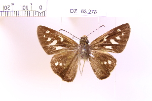  ( - DZ63.278)  @11 [ ] c (2025) Adalberto Dantas de Medeiros UFPR