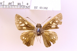  ( - DZ63.332)  @11 [ ] c (2025) Adalberto Dantas de Medeiros UFPR