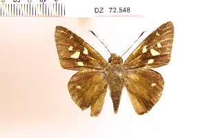  ( - DZ72.548)  @11 [ ] c (2025) Adalberto Dantas de Medeiros UFPR