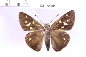  ( - DZ72.581)  @11 [ ] c (2025) Adalberto Dantas de Medeiros UFPR