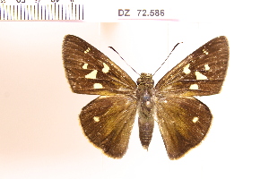  ( - DZ72.586)  @11 [ ] c (2025) Adalberto Dantas de Medeiros UFPR