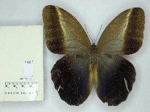  ( - DZ_71.112)  @11 [ ] c (2025) Suianne Cajé UFPR