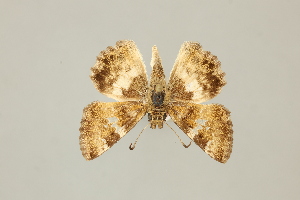  ( - DZ75.449)  @11 [ ] c (2025) UFPR UFPR