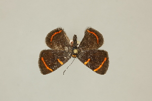  ( - DZ75.219)  @11 [ ] c (2025) Diego Dolibaina UFPR