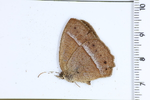  ( - DRD1740)  @11 [ ] c  Diego Dolibaina Universidade Federal do Parana