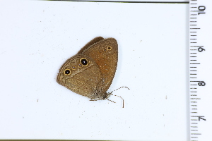  ( - DRD1749)  @11 [ ] c  Diego Dolibaina Universidade Federal do Parana