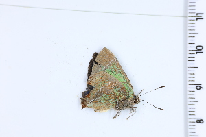  ( - DRD1078)  @11 [ ] c  Diego Dolibaina Universidade Federal do Parana