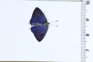  ( - DRD1573)  @11 [ ] c  Diego Dolibaina Universidade Federal do Parana