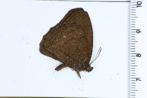  ( - DRD1586)  @11 [ ] c  Diego Dolibaina Universidade Federal do Parana