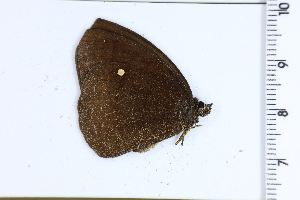  ( - DRD1587)  @11 [ ] c  Diego Dolibaina Universidade Federal do Parana