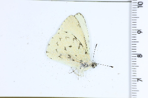  ( - DRD1599)  @11 [ ] c  Diego Dolibaina Universidade Federal do Parana