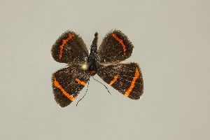  ( - DZ75.279)  @11 [ ] c (2025) Diego Dolibaina UFPR