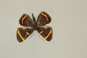  ( - DZ75.279)  @11 [ ] c (2025) Diego Dolibaina UFPR