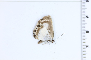  ( - DRD1897)  @11 [ ] c  Diego Dolibaina Universidade Federal do Parana