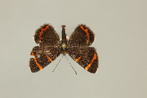  ( - DZ75.280)  @11 [ ] c (2025) Diego Dolibaina UFPR