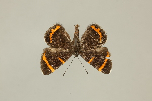  ( - DZ75.280)  @11 [ ] c (2025) Diego Dolibaina UFPR