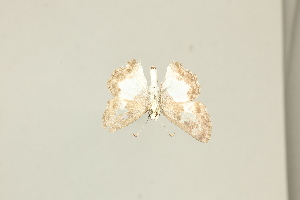  ( - DZ75.410)  @11 [ ] c (2025) Diego Dolibaina UFPR