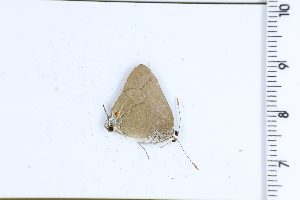  ( - DRD1642)  @11 [ ] c  Diego Dolibaina Universidade Federal do Parana