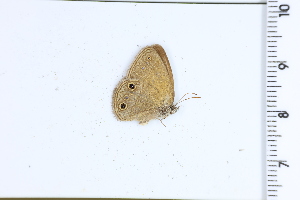  ( - DRD1643)  @11 [ ] c  Diego Dolibaina Universidade Federal do Parana