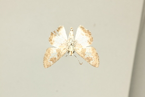  ( - DZ75.421)  @11 [ ] c (2025) Diego Dolibaina UFPR